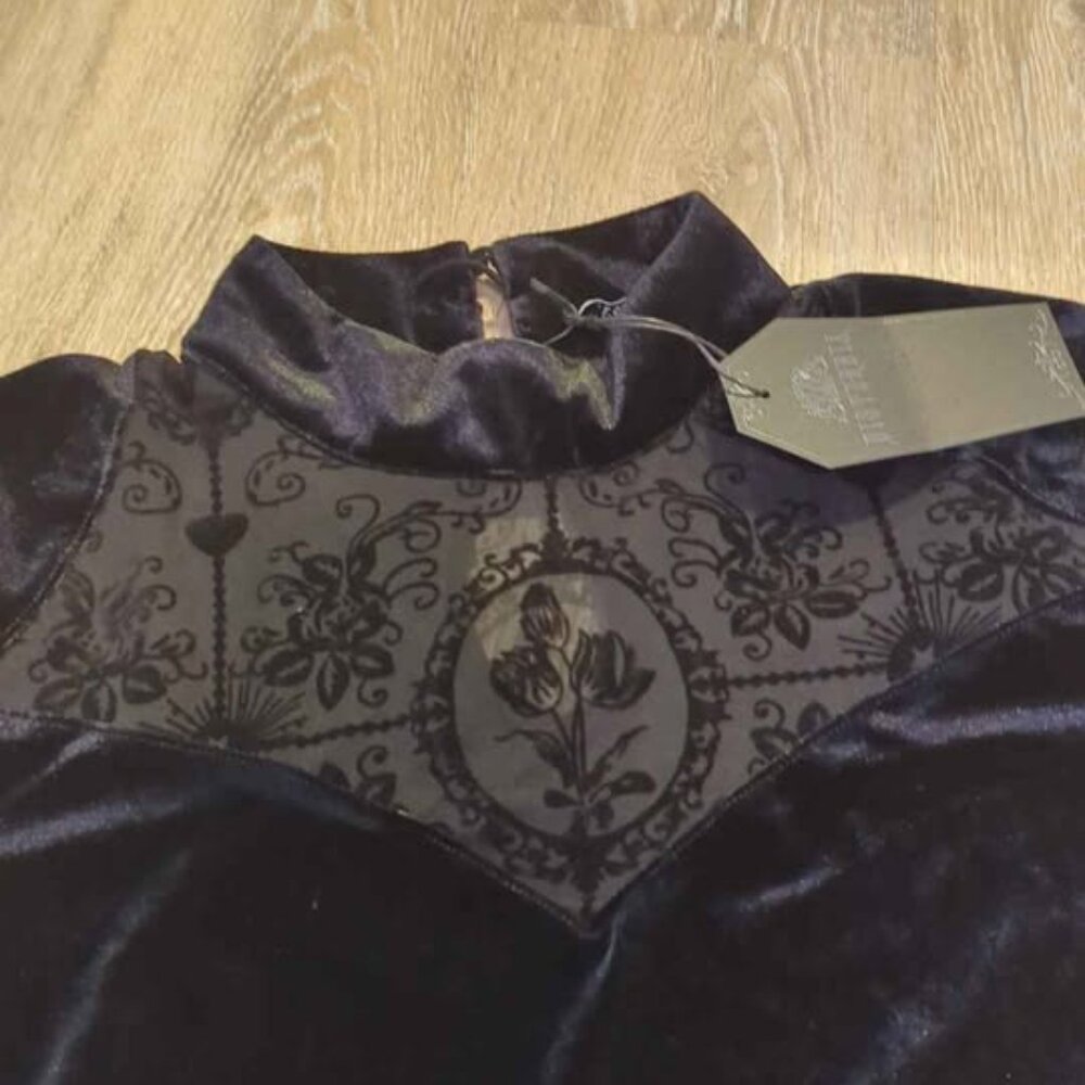 Disturbia cameo floral flocked mesh velour high neck top size 8 new - Picture 2 of 4